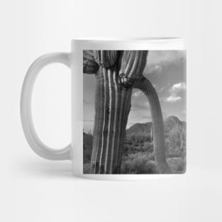 Saguaro Cacti Tucson Mountains Mug